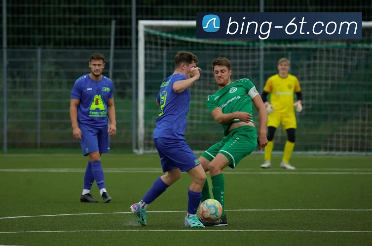 6T体育平台生态图